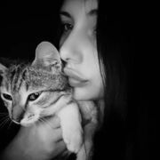 ���������� ���������, ��������