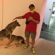 ���������� ����, ���� ������� ����, 57 ���, ������������ ��� ����� � ���������, c�������� ���������