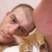  ,   , 46 ,   ,   , c , 