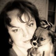 ���������� �����������, ���� ������� ��������, 48 ���, ������������ ��� c�������� ���������