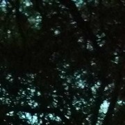  ,   , 61 ,   ,   , c 