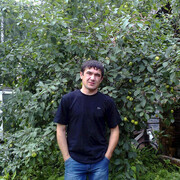 ���������� �����������, ���� ������� ��������, 37 ���, ������������ ��� ������, ����� � ���������, c�������� ���������, ���������