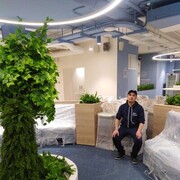 ���������� �����-���������, ���� ������� ��������, 43 ����, ������������ ��� ������, ����� � ���������