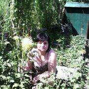 ���������� �����������, ���� ������� �������, 49 ���, ������������ ��� ���������