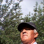 ���������� ����������, ���� ������� �����, 47 ���, ������������ ��� ����� � ���������, c�������� ���������