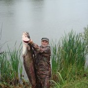  ,   , 58 ,  