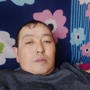  ,  , 37