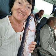 ,   , 65 ,   ,   