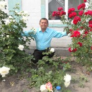  ,   , 71 ,   ,   , c , 