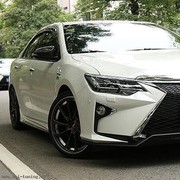 ���������� ������������, ���� ������� �������, 55 ���, ������������ ��� ������, ����� � ���������, c�������� ���������