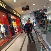 ���������� �����������, ���� ������� Nik, 41 ���, ������������ ��� c�������� ���������