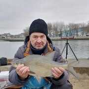 ���������� �����, ���� ������� ��������, 55 ���, ������������ ��� ����� � ���������