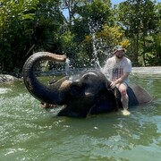 ���������� ������, ���� ������� ����, 33 ����, ������������ ��� ������, ����� � ���������