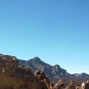 ���������� �����, ���� ������� �����, 40 ���, ������������ ��� ����� � ���������, c�������� ���������