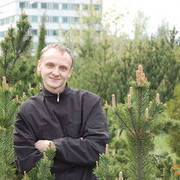 ���������� ������, ���� ������� Analgin, 42 ����, ������������ 