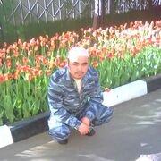  ,    , 39 ,   ,   