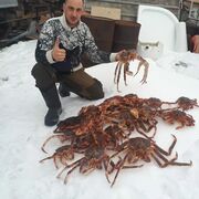 ���������� �������, ���� ������� �������, 35 ���, ������������ ��� ������, ����� � ���������