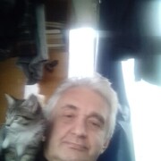  ,   , 62 ,   c 