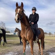 ���������� ������, ���� ����� ������, 24 ����, ������������ ��� ������, ����� � ���������