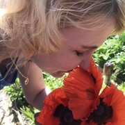 ���������� ������ ��������, ���� ������� ���, 47 ���, ������������ ��� c�������� ���������