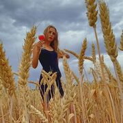 ���������� ��������������, ���� ������� ������, 24 ����, ������������ ��� ������, ����� � ���������, c�������� ���������, ���������