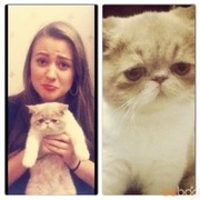 ���������� �����-���������, ���� ������� �����, 32 ����, ������������ ��� ������, ����� � ���������, c�������� ���������