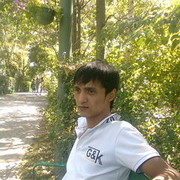  ,   Babur, 37 ,     , c 