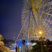 ���������� �������, ���� ����� Giorgi, 22 ����, ������������ ��� ������