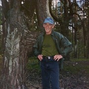  ,   , 77 ,  