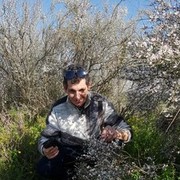  Ashqelon,   , 58 ,   ,   , c 
