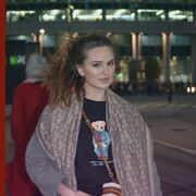 ���������� �����������, �������