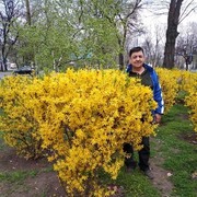  ,   , 60 ,     , c 