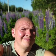 -,   ˸, 44 ,   , 