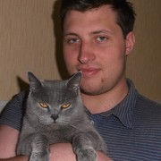  ,   , 33 ,   