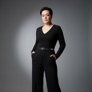 ���������� ����, �����