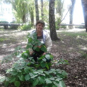  ,   , 55 ,   