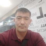  ,  , 43