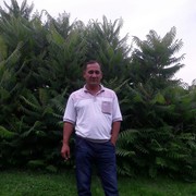 ���������� ������, ���� ������� �������, 50 ���, ������������ 