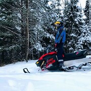 ���������� ������, ���� ������� ���������, 28 ���, ������������ ��� ������, ����� � ���������, ���������