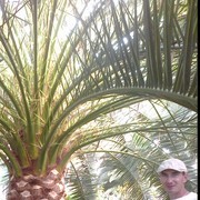  ,   , 42 ,  