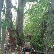  ,  , 55