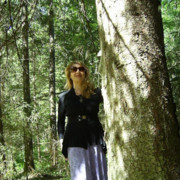 ���������� �����, ���� ������� �������, 66 ���, ������������ ��� ������, ����� � ���������, c�������� ���������