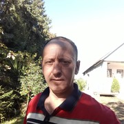 ���������� �������, ���� ������� Maxo, 49 ���, ������������ ��� ������, ����� � ���������, c�������� ���������