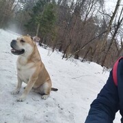  ,   Anton, 34 ,   ,   