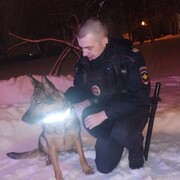 ���������� ���������, ���� ������� �������, 33 ����, ������������ 