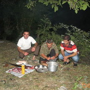 ���������� ����, ���� ������� Zaur, 41 ���, ������������ ��� ������