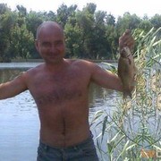  ,   , 56 ,  