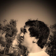 ���������� ���������, ���� ������� ������, 31 ���, ������������ ��� ������, ����� � ���������