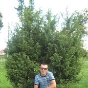  ,   , 40 ,   