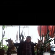  ,   , 45 ,   ,   , c , 